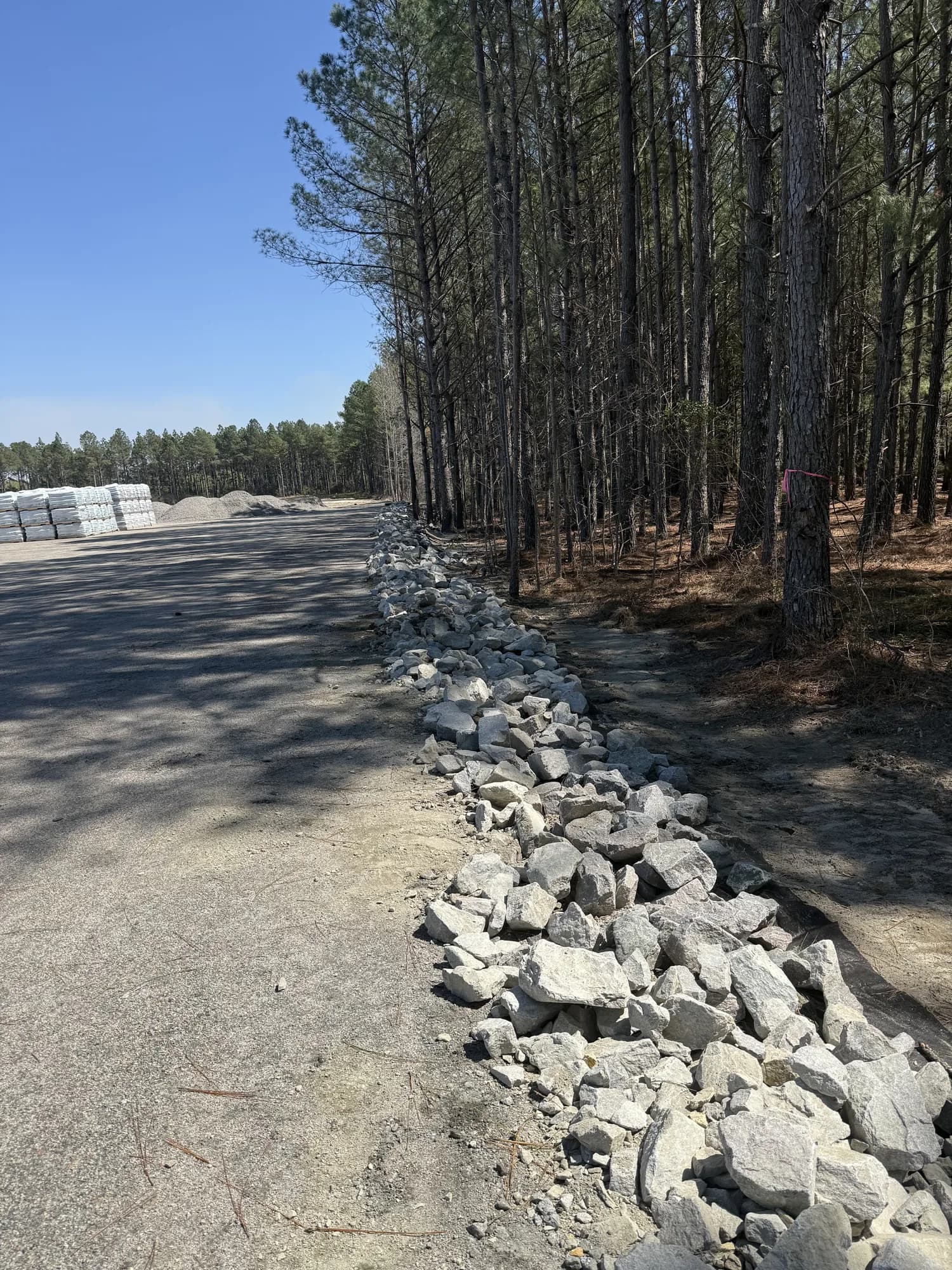 Riprap erosion-control rock placed along the shoulder of a paved road through Carolina pine country.