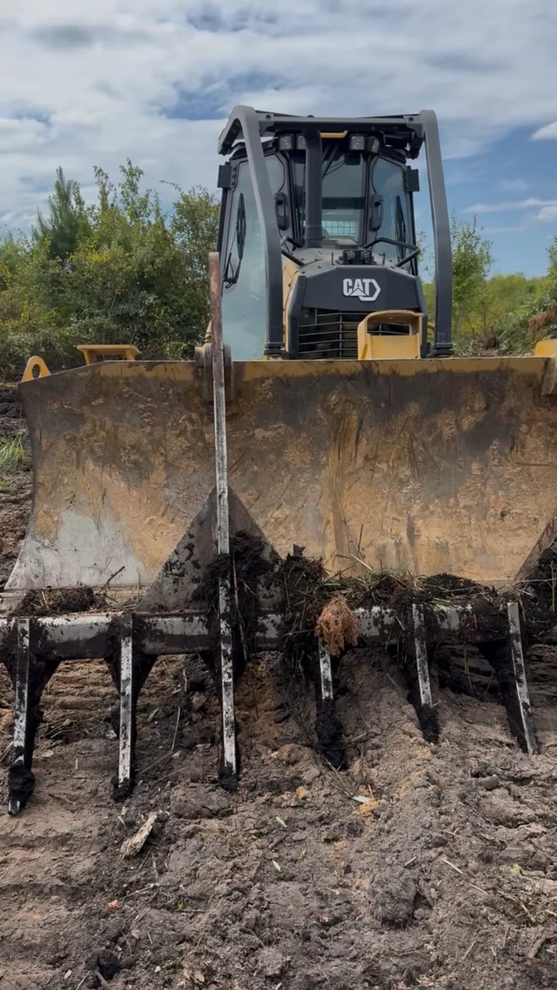 Ward Excavation CAT track loader with a root rake grubbing stumps and roots while clearing a Carolinas lot.