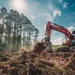 lot clearing whiteville