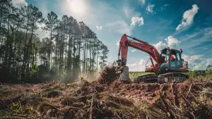 lot clearing whiteville