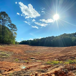 affordable land clearing Whiteville NC